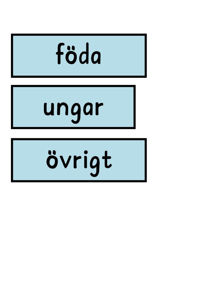 Öppetklassrum Faktatext cirkelmodellen!